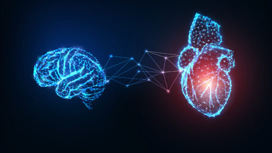 Digital image of heart and brain with link between them