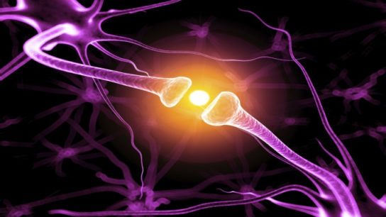 What’s the Latest?