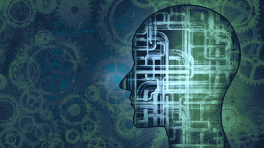 Neurocognition-Illustration